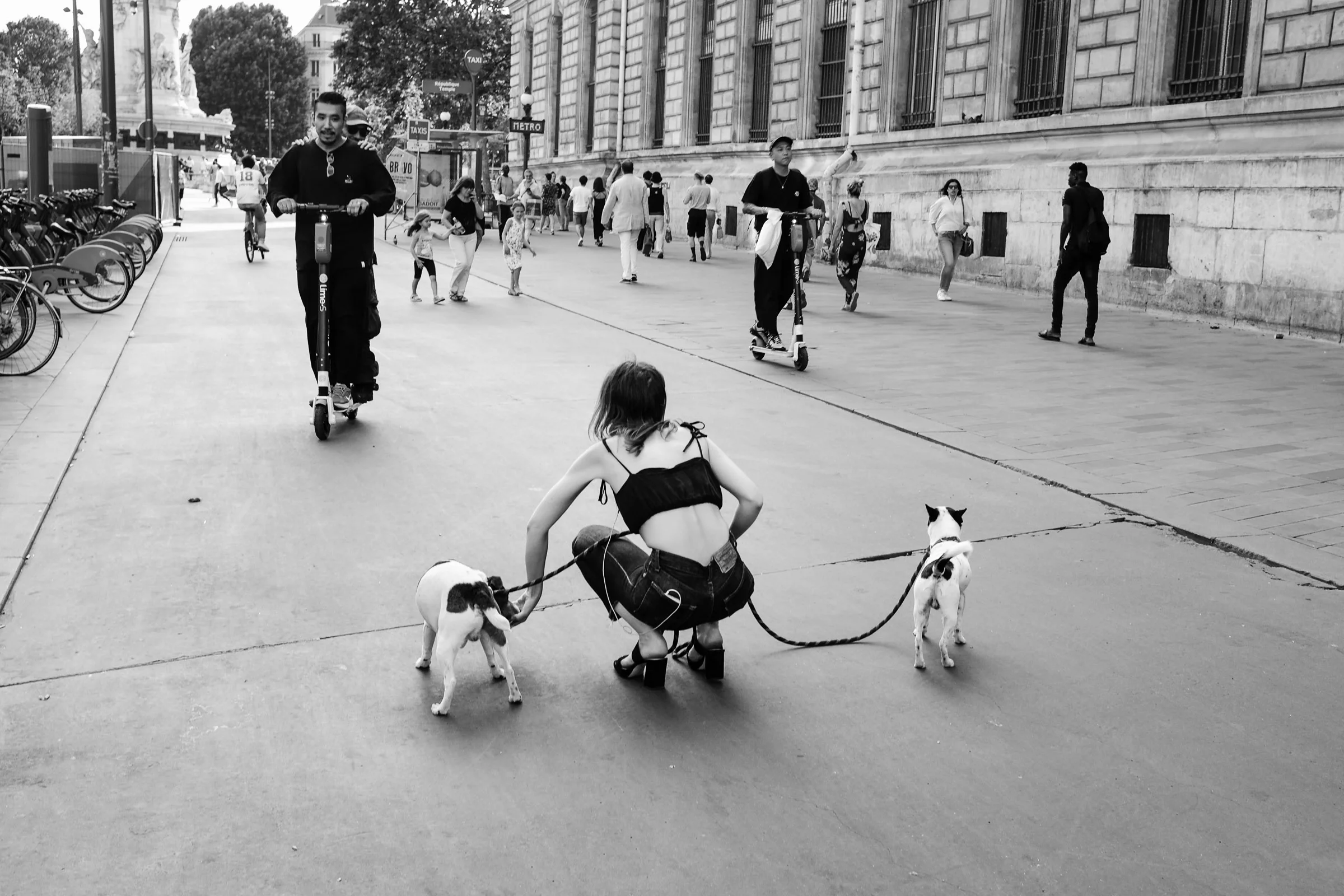 Young Woman With Dogs